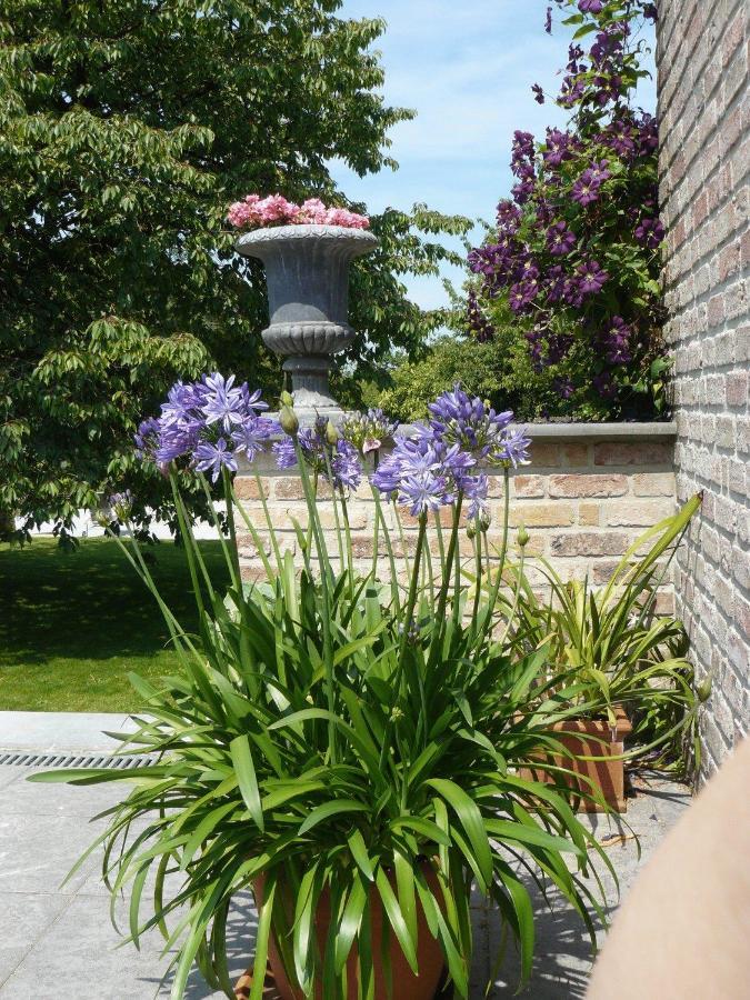 B&B Casabelle Boekhoute Εξωτερικό φωτογραφία
